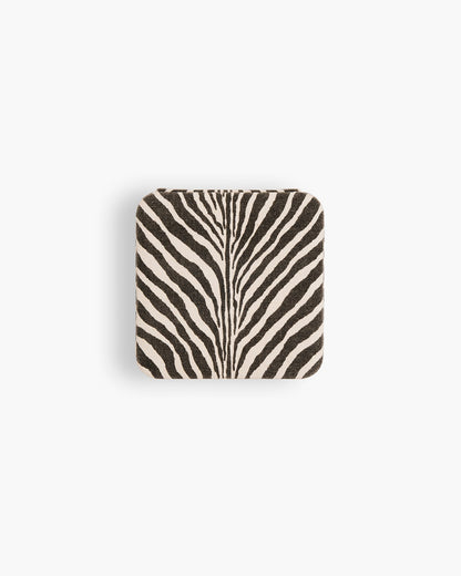 Jewelry Box Canvas
